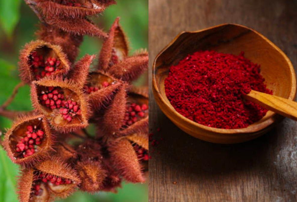 Add a heading 20250128 110030 0000