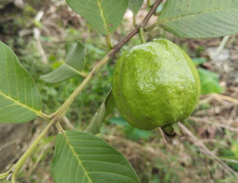 Screenshot 2025 0125 141112