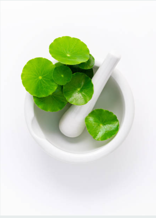 बुद्धि के लिए वरदान दिमाग की बीमारियों में श्रेष्ठ दिव्य औषधि 16 Screenshot 2025 0125 171156