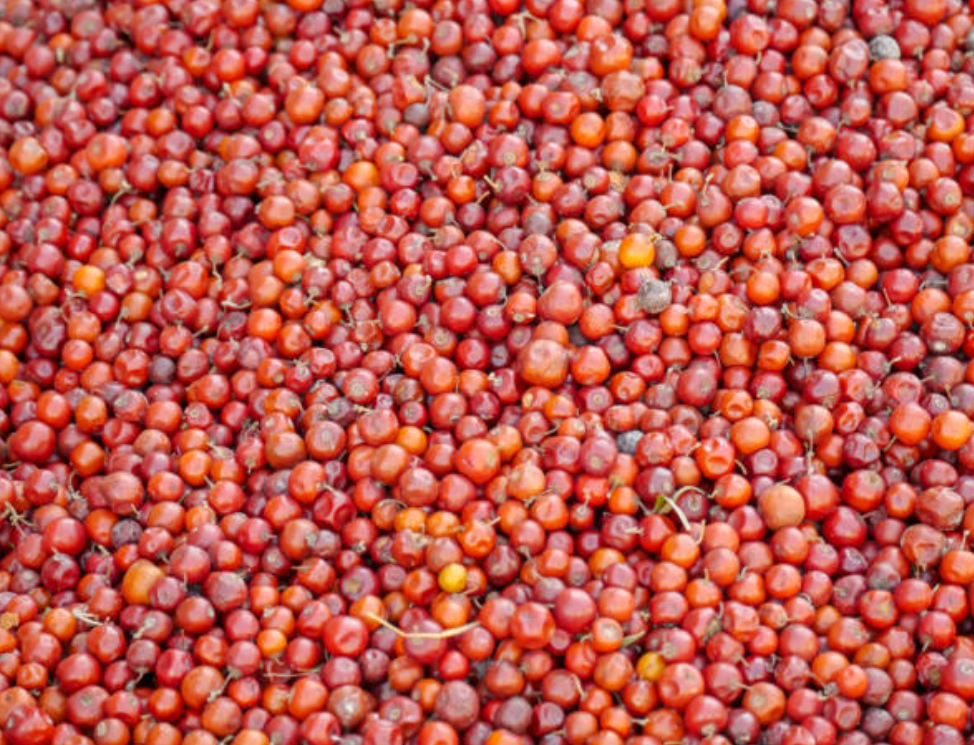 Screenshot 2025 0208 145247