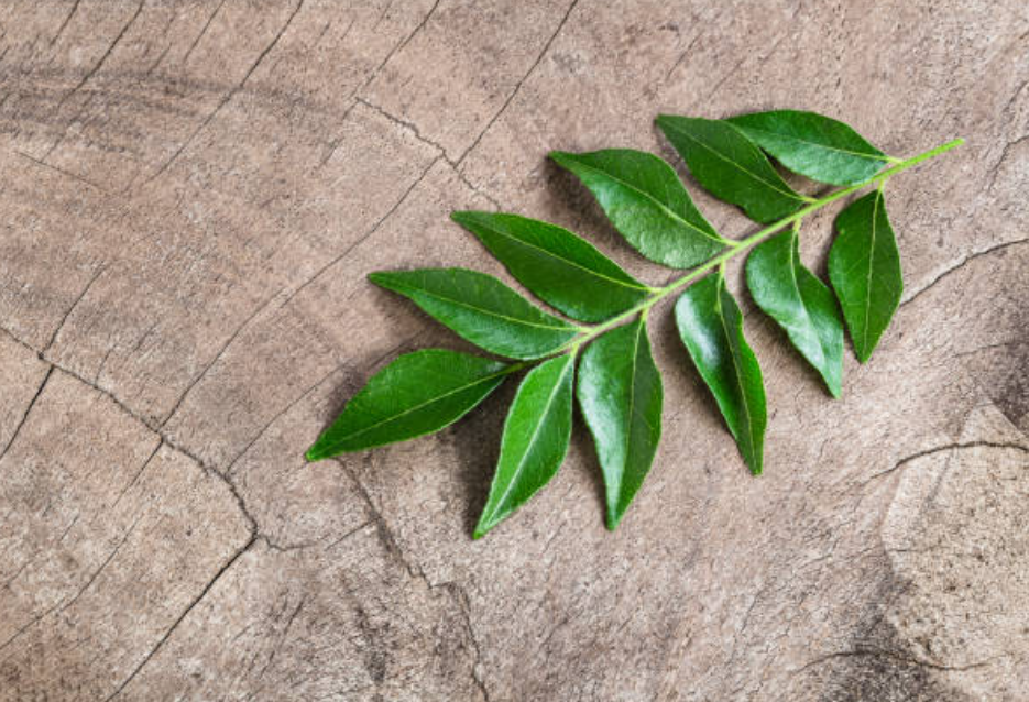 कड़ी पत्ता (Curry leaves) के 10 चौका देने वाले लाभ। 10 Screenshot 2025 0220 072359 1