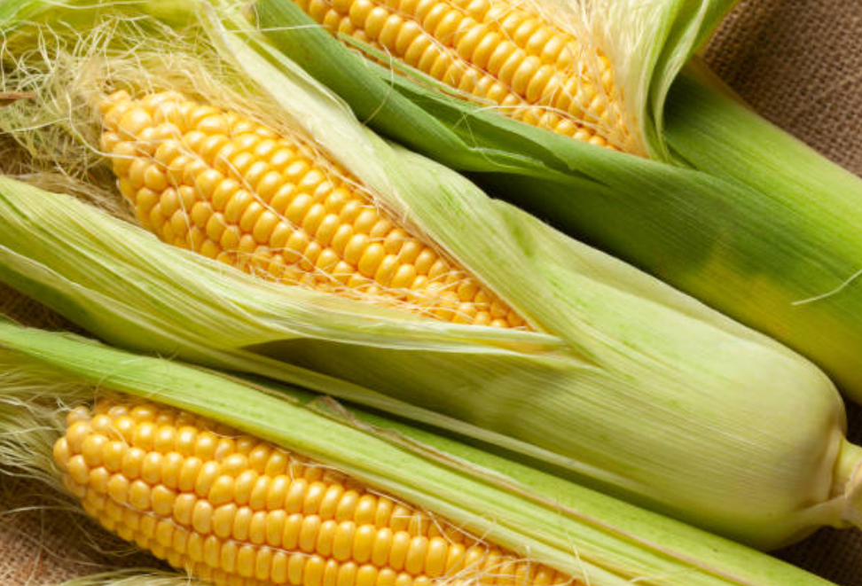 Screenshot 2025 0226 125628