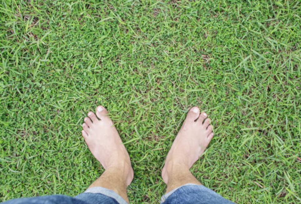 Screenshot 2025 0227 065223