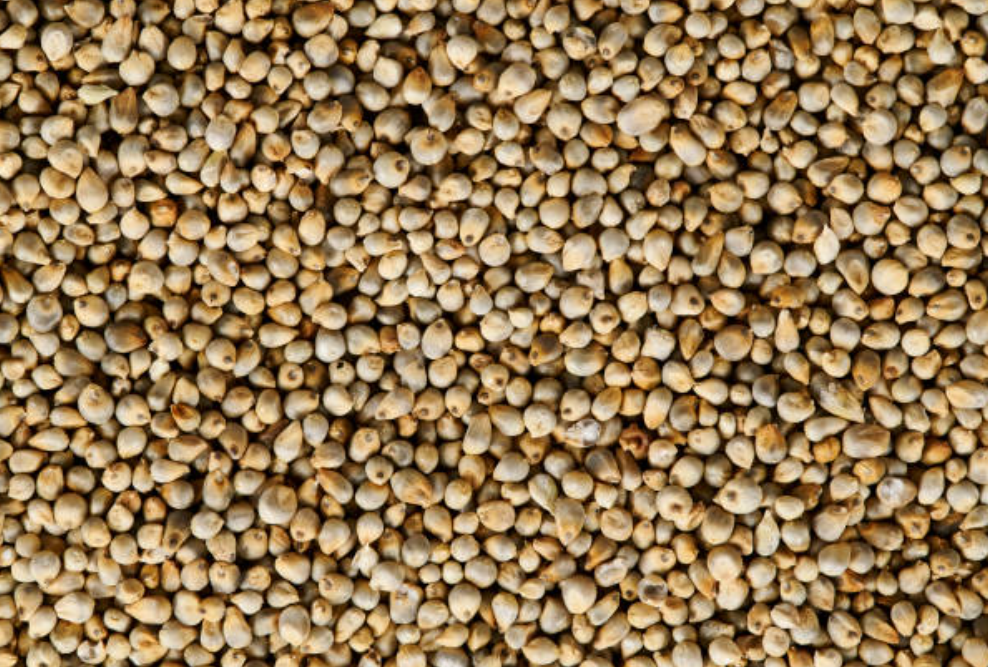 Screenshot 2025 0227 170050