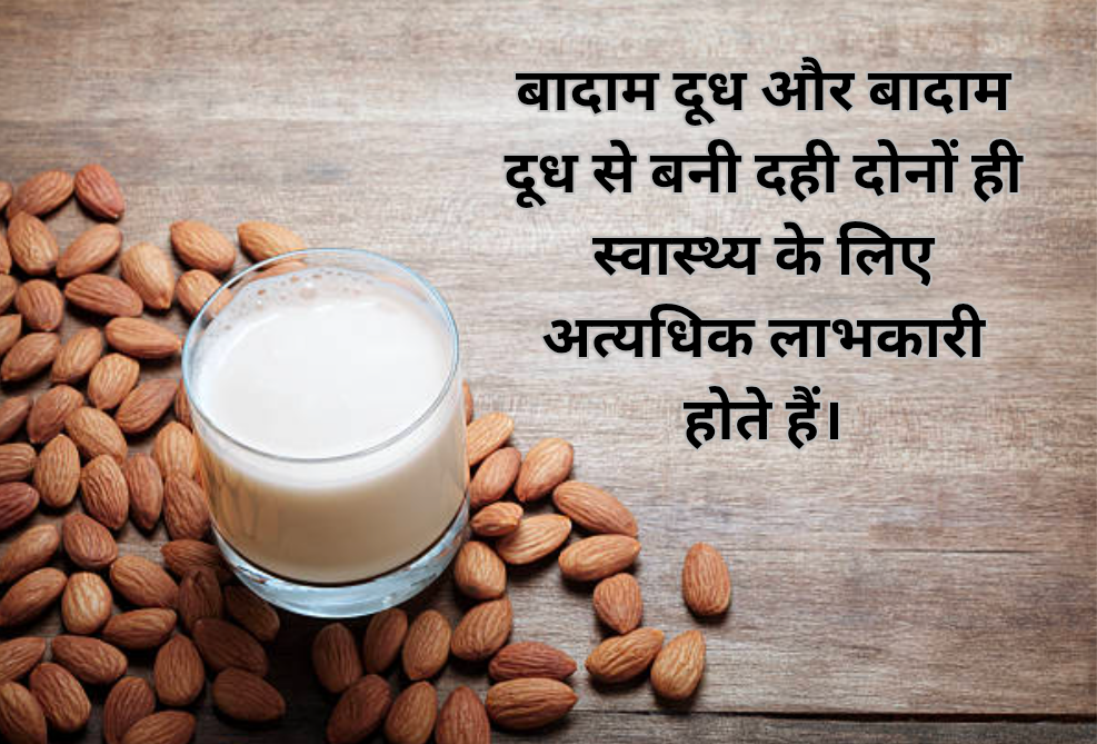बादाम दूध और बादाम दूध की दही खाने के फायदे और बनाने का तरीका। 5 उच्बादाम दूध और बादाम दूध से बनी दही दोनों ही स्वास्थ्य के लिए अत्यधिक लाभक 20250220 154056 0000