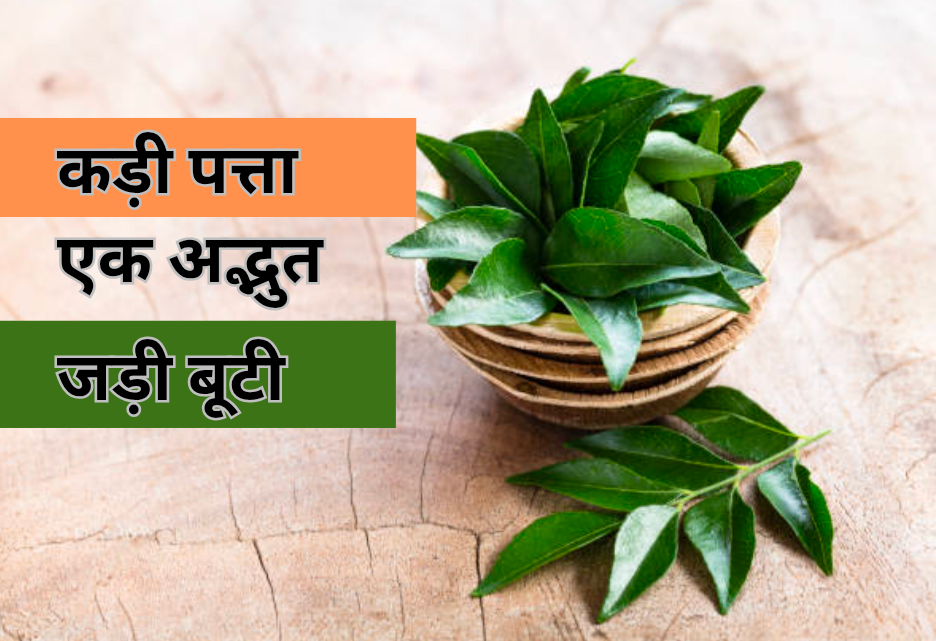 कड़ी पत्ता (Curry leaves) के 10 चौका देने वाले लाभ। 9 कड़ी पत्ता एक अद्भुत जड़ी बूटी 20250220 073422 0000