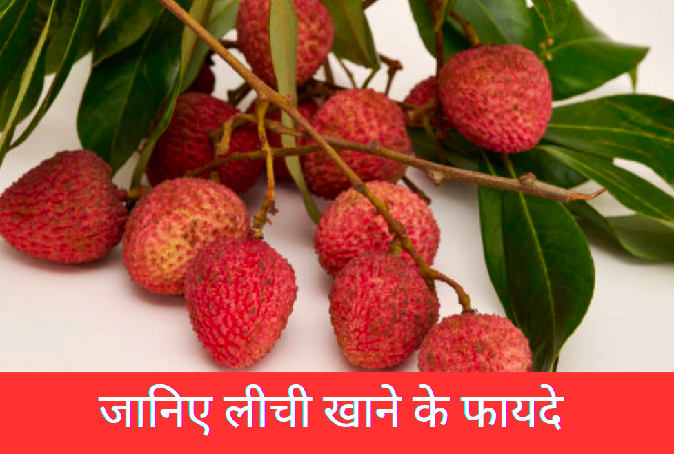 लीची खाने के 7 जबरदस्त फायदे। 19 जानिए लीची खाने के फायदे 20250221 152517 0000