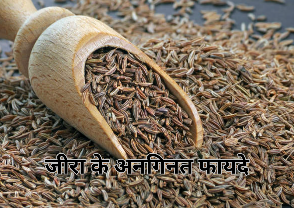 जीरा के फायदे 20250214 154136 0000