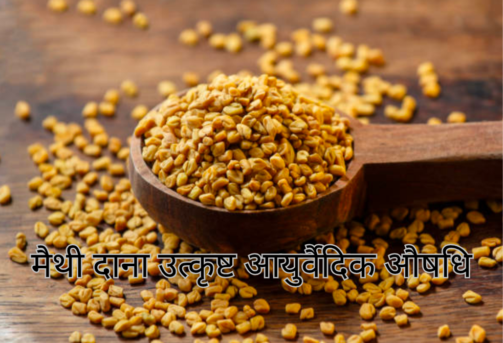 मैथी दाना उत्कृष्ट आयुर्वैदिक आशा 20250212 150733 0000