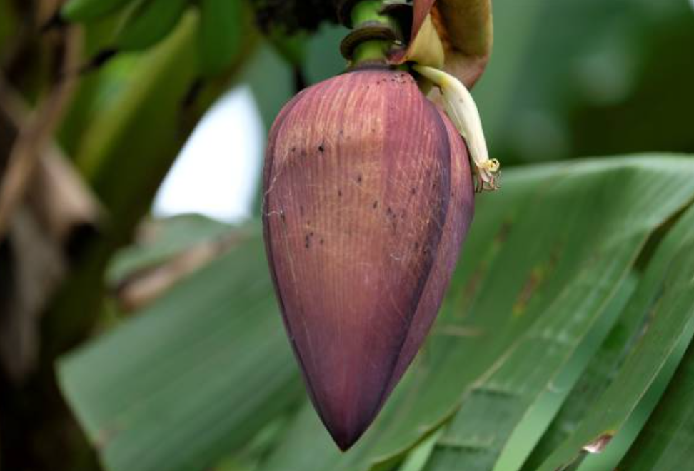 Screenshot 2025 0301 010642