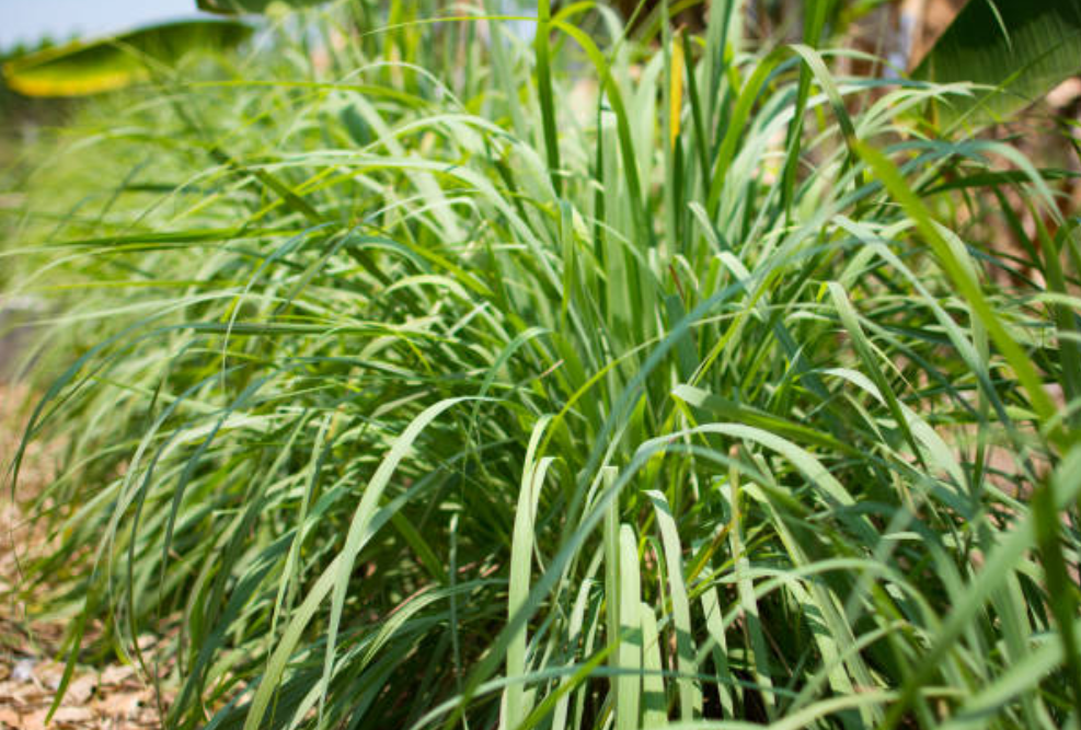 Screenshot 2025 0304 123632