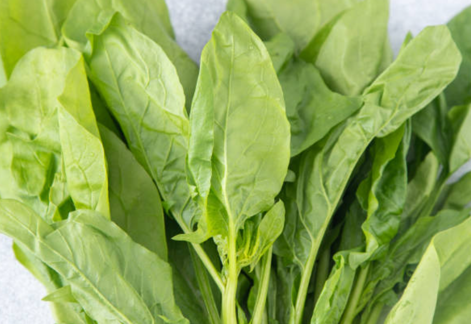 Screenshot 2025 0304 145332