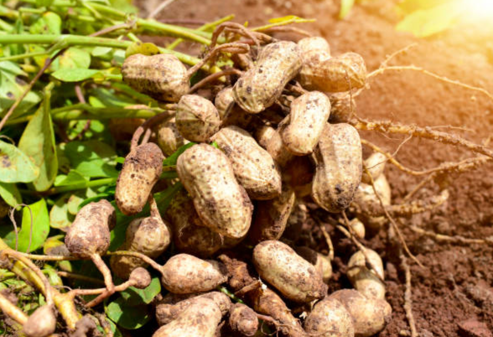 Screenshot 2025 0305 065735