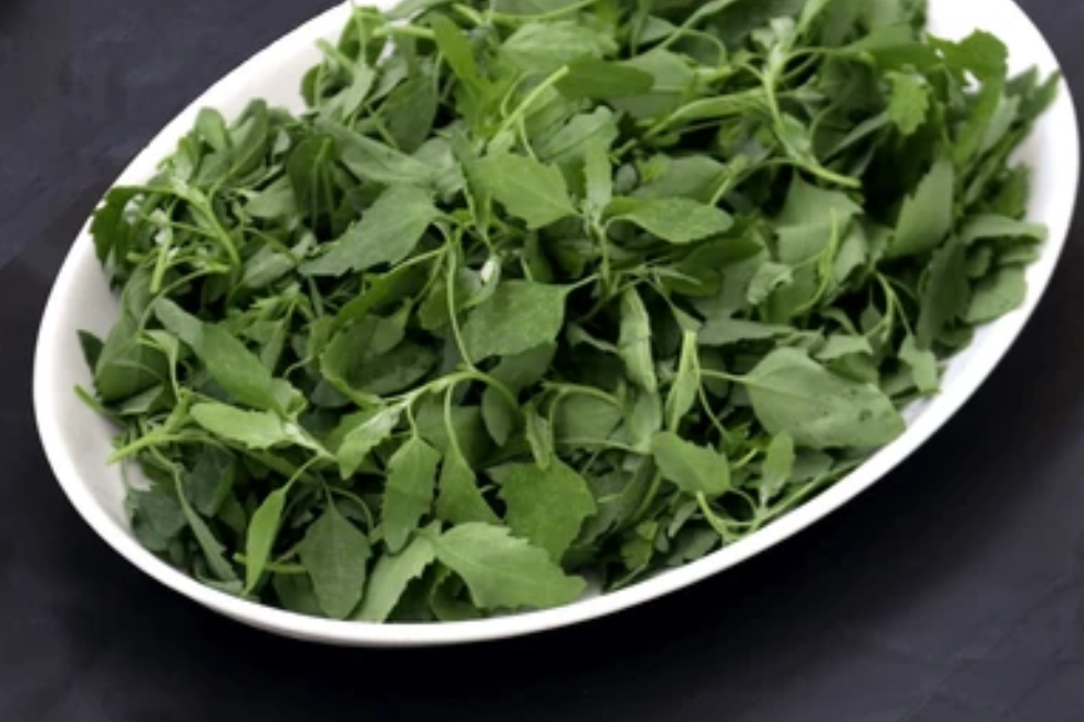 Screenshot 2025 0309 145711 1