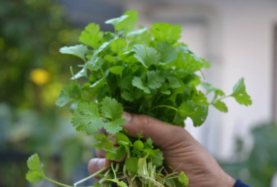 Screenshot 2025 0315 161751