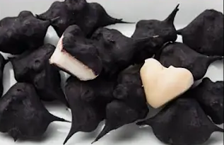 Screenshot 2025 0321 164702