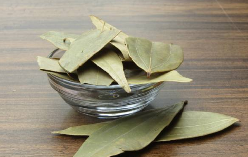 जानिए तेज़ पत्ता (Bay leaf) के गुण। 18 Screenshot 2025 0417 155440