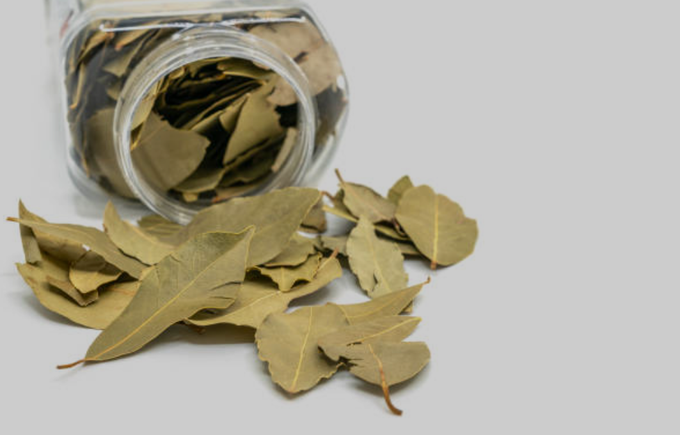 जानिए तेज़ पत्ता (Bay leaf) के गुण। 17 Screenshot 2025 0417 155511