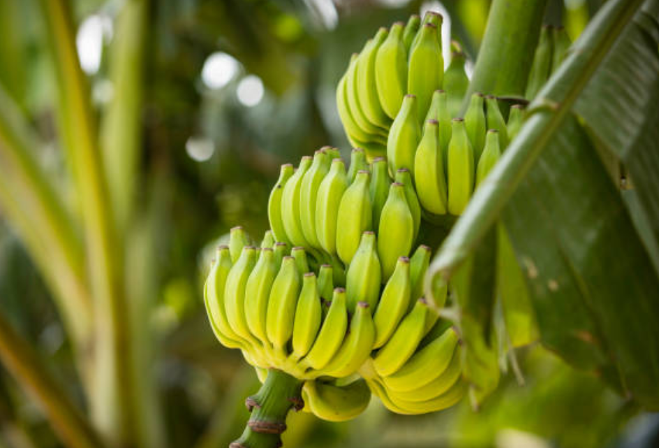 Screenshot 2025 0422 164845