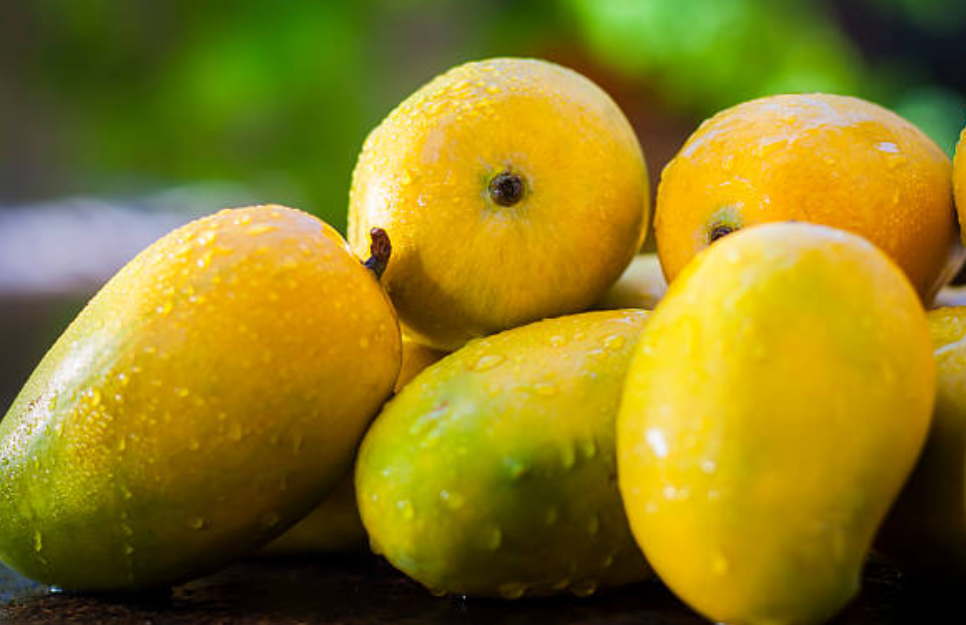 Screenshot 2025 0424 123952