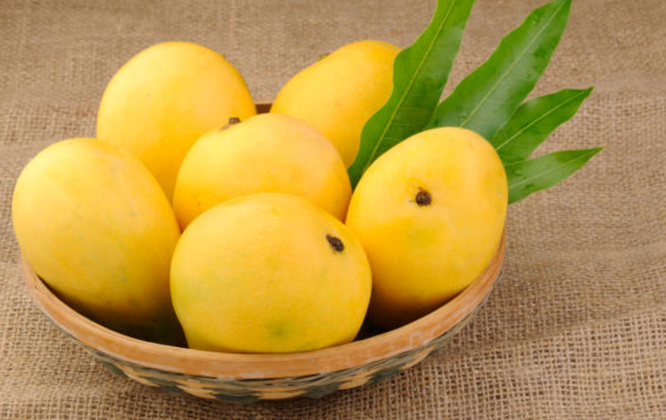 Screenshot 2025 0424 124043